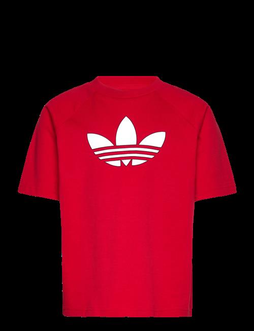 adidas Originals | Gfx Tr Lo Tee | 176