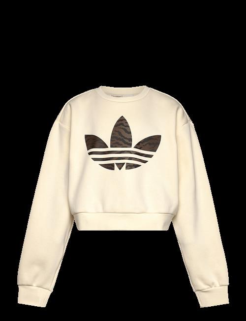 adidas Originals | Boxy Crew | 164