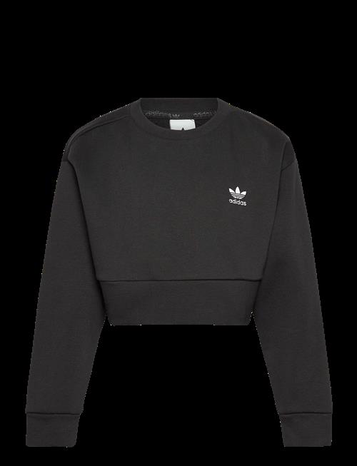 adidas Originals | Boxy Crew | 152