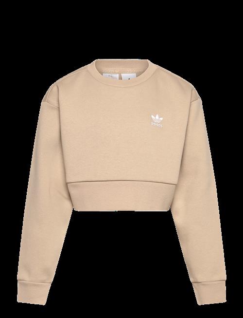 adidas Originals | Boxy Crew | 140