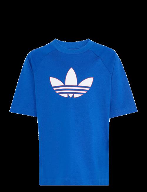 adidas Originals | Gfx Tr Lo Tee | 110