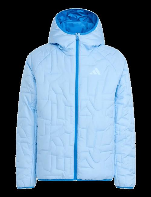 adidas Terrex | K Xpr Pd Jkt | 164