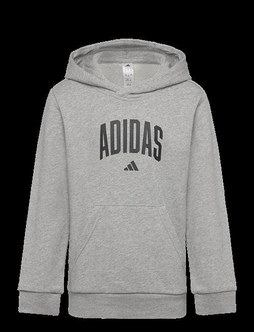 adidas Sportswear | J Colleg Hd | 140