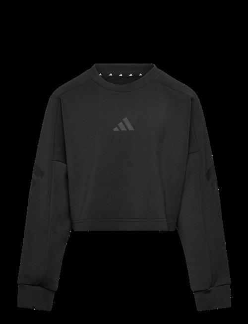 adidas Sportswear | Jg Fi 3S Crew | 140