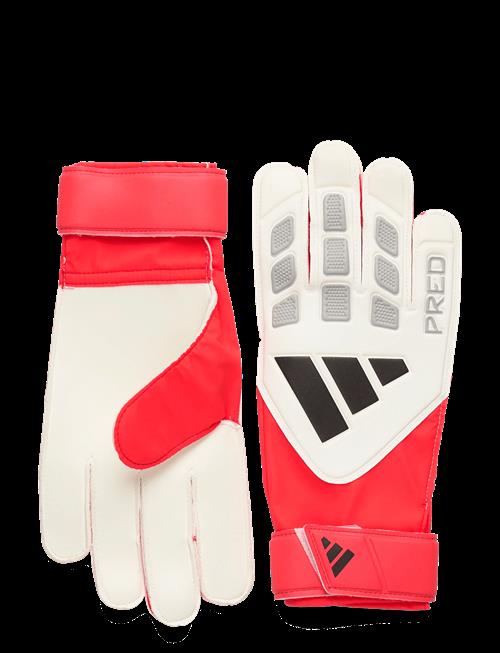 adidas Performance | Pred Gl Trn | 7.5