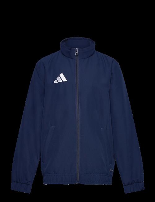 adidas Performance | Ent26 Prejkty | 116