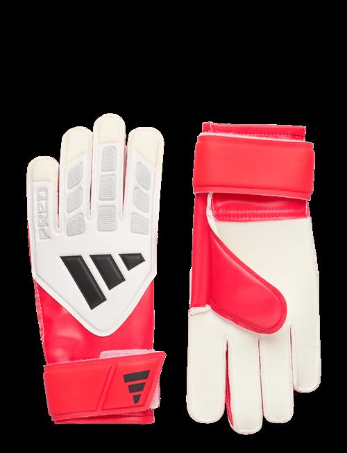 adidas Performance | Pred Gl Trn J | 3