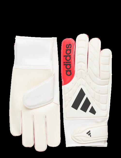 adidas Performance | Copa Gl Clb | 11