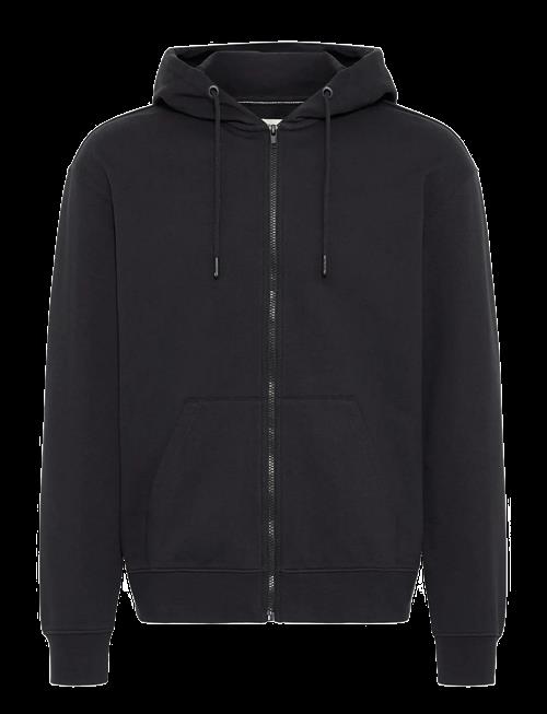 Blend | Bhbrody Hood Sweatshirt | XL