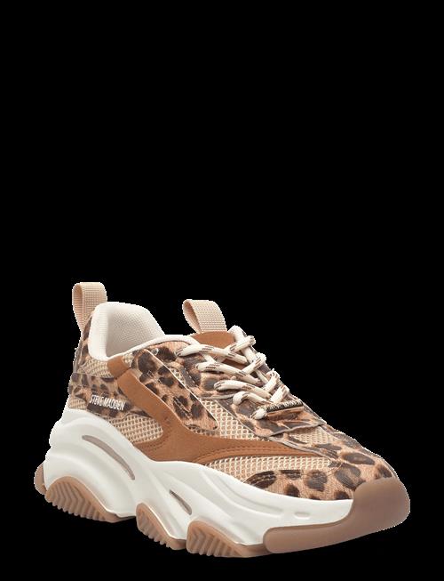 Steve Madden | Possession-E | 36