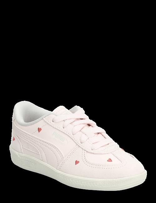PUMA | Palermo Amor Ps | 35