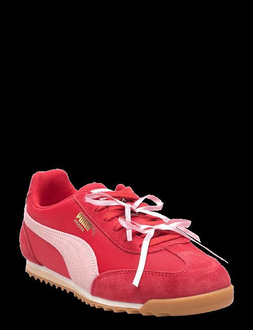 PUMA | Arizona Bow Wns | 37
