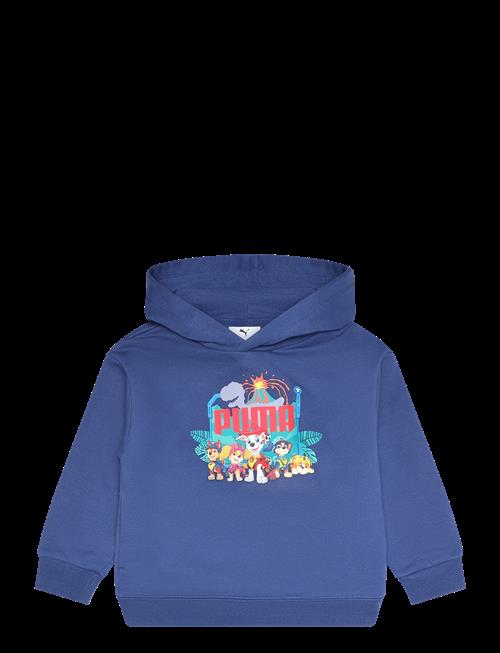PUMA | Puma X Paw Patrol Graphic Hoodie Tr | 110