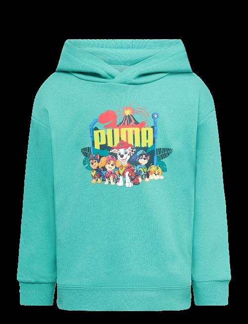 PUMA | Puma X Paw Patrol Graphic Hoodie Tr | 104