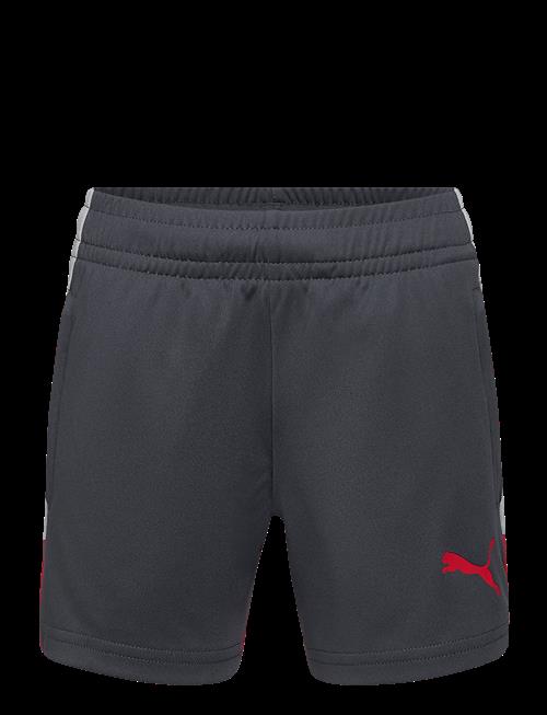 PUMA | Individualliga Training Shorts Jr | 152