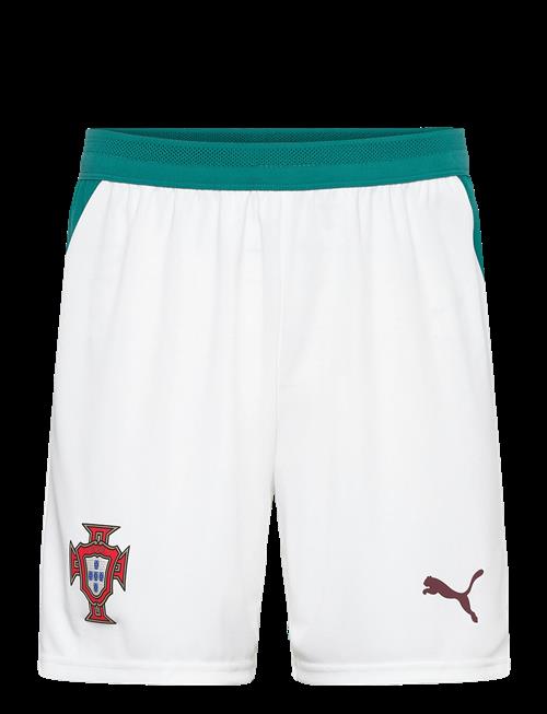 PUMA | Fpf Shorts Replica | XXL