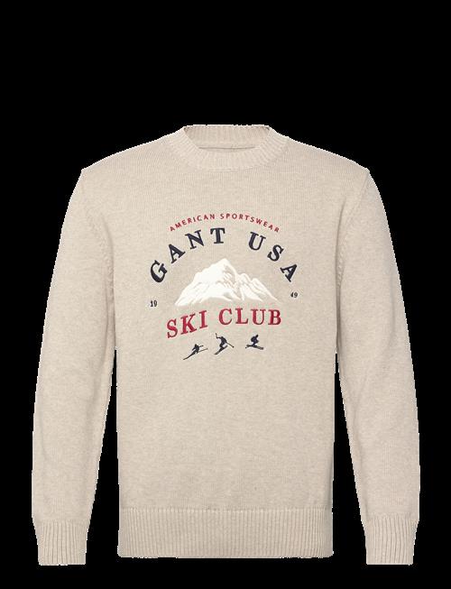 Gant | Embroidered Graphic C-Neck | S