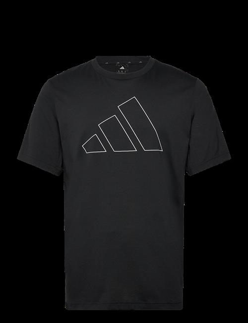 adidas Performance | We Fr Bl T | XXL