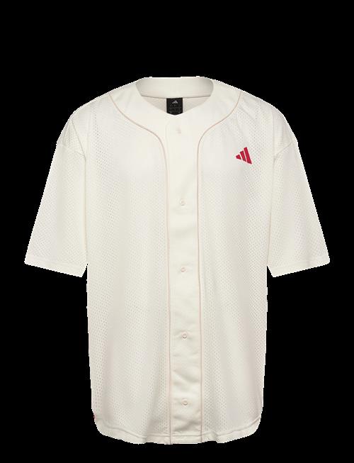 adidas Sportswear | M Sta Seas Shrt | M