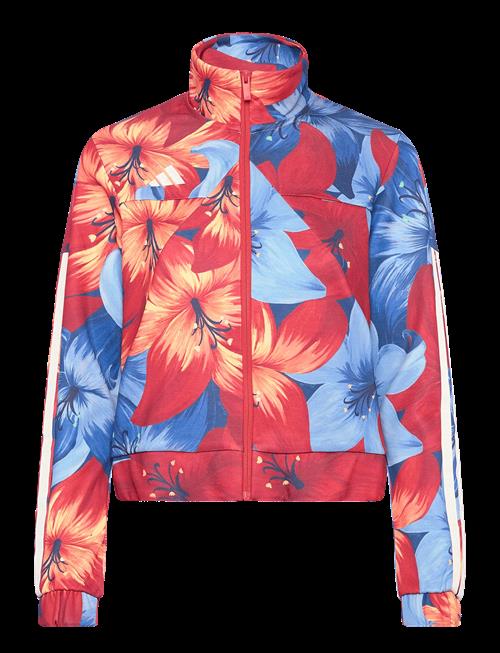 adidas Sportswear | Farm Tiro Tt | XS