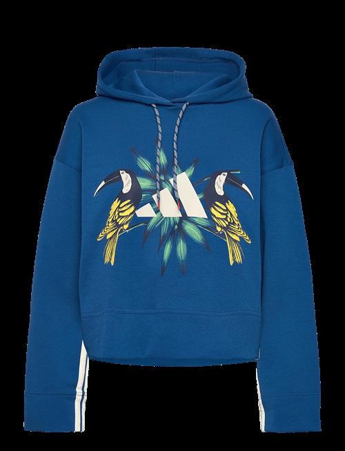 adidas Sportswear | Farm Hoodie | M
