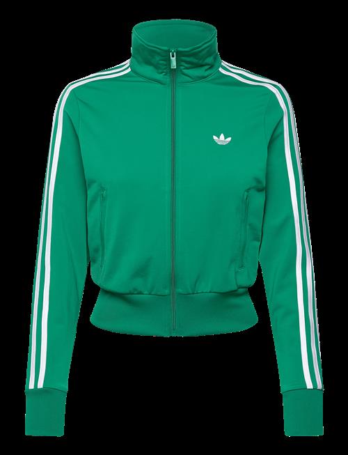 adidas Originals | Firebird Classic Tt_ | L