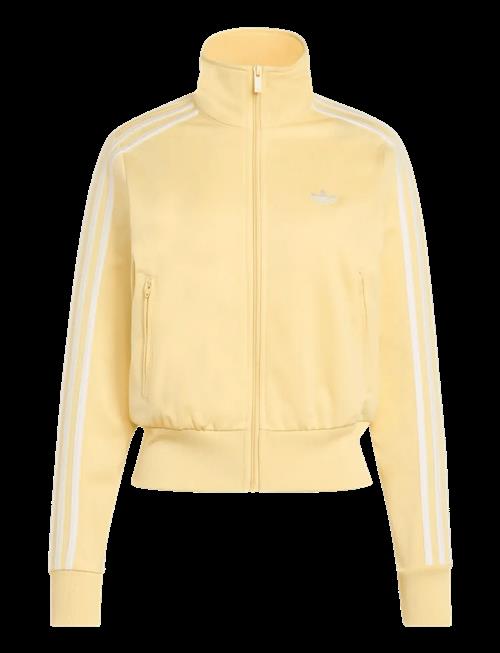 adidas Originals | Firebird Classic Tt_ | XXL