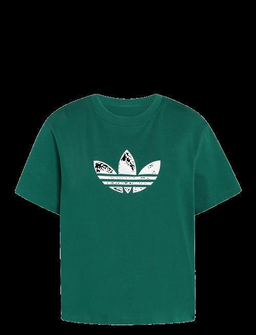 adidas Originals | Trefoil Boxy T | XS