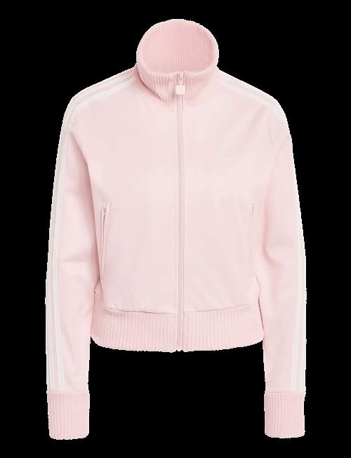 adidas Originals | Knitted Td Tt | L