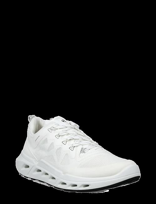 ECCO | Biom 720 W | 42