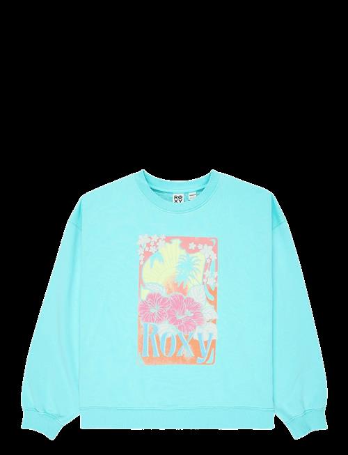 Roxy | Lineup Crew Rg Terry | 170