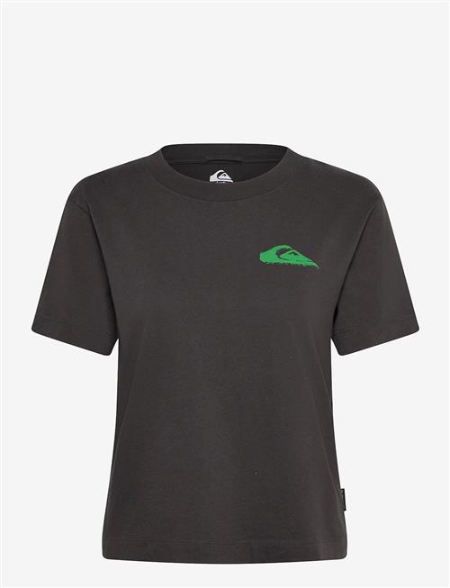 Quiksilver | Standard Ss Tee | XS