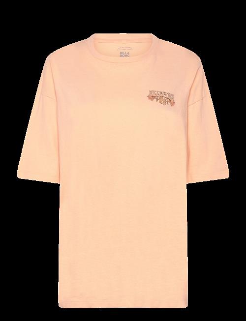 Billabong | Waterfall | M