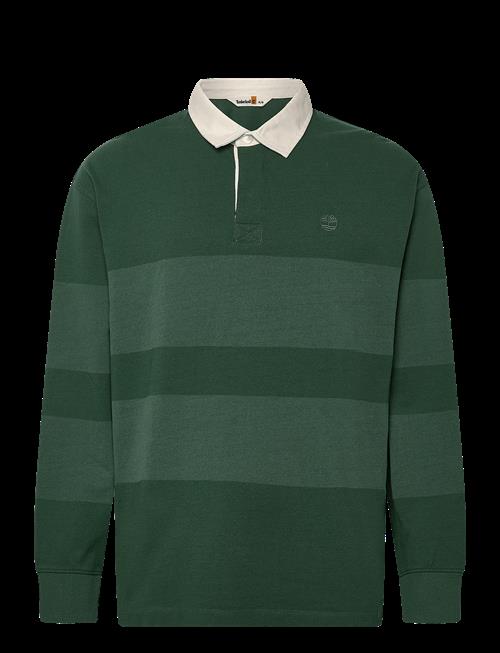 Timberland | Ls Striped Rugby Polo Pineneedle | L
