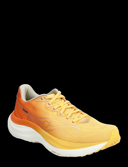 Saucony | Ride 19 | 42.5
