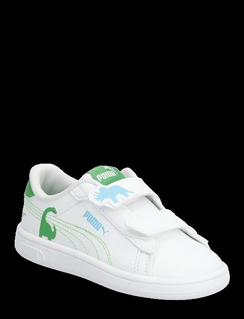 PUMA | Puma Smash 3.0 Dino V Inf | 19