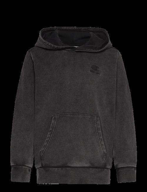 Champion | Hooded Sweatshirt | 104