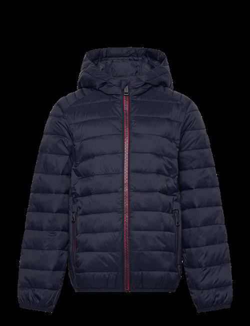Jack & Jones | Jjebradley Light Puffer Hood Mni | 98