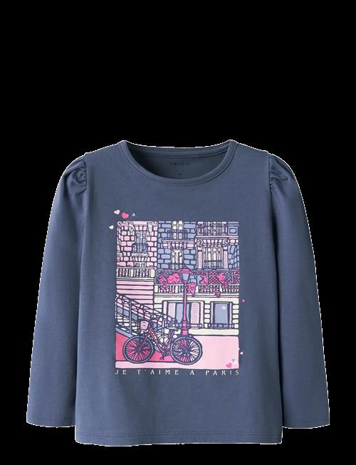 name it | Nmfollia Ls Top Pb | 116