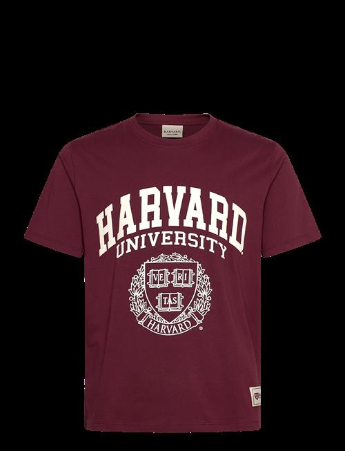 Jack & Jones | Jorharvard Tee Ss C.n Styd Ss25 | S
