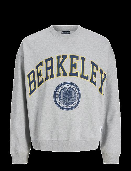 Jack & Jones | Jorberkeley Sweat C.n Styd Ss25 | M