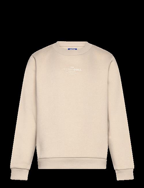 Jack & Jones | Jjjin Sweat Crew Neck Mni | 122