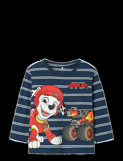 name it | Nmmsofus Paw Ls Nreg Top Box Cplg | 86