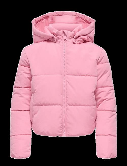 Kids Only | Kogmalia Short Puffer Jacket Ot Otw | 164