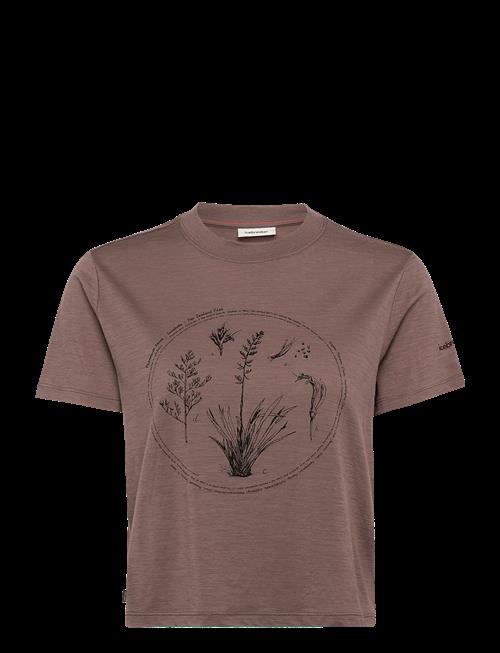 Icebreaker | W Mer 150 Tech Lite Ss Crop T Seed Stor | L