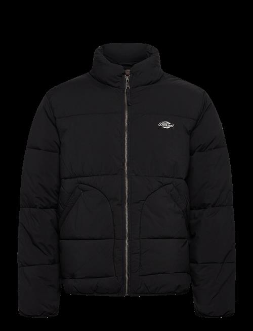 Dickies | M Summerdale Puffer | S
