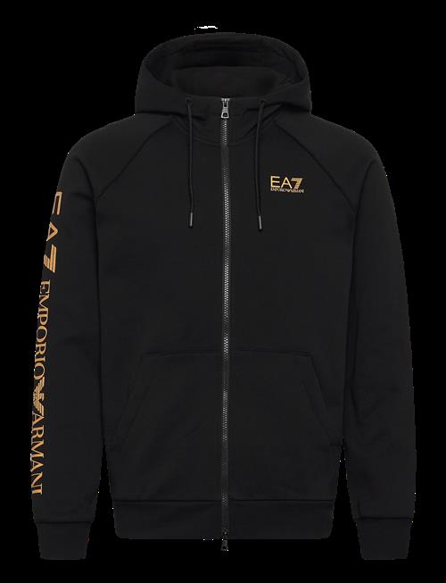 EA7 | Sweatshirt | L