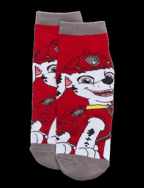 Paw Patrol | Socks | 31/34