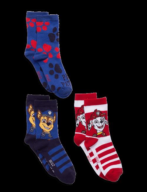 Paw Patrol | Socks | 31/34