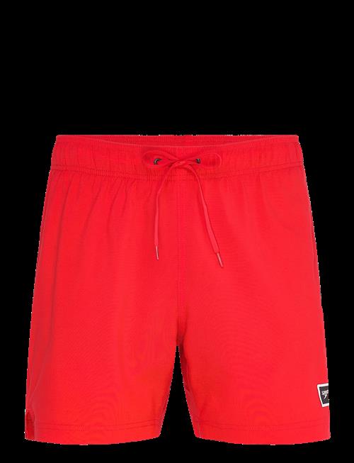 Speedo | Classic Logo Volley 16" | M